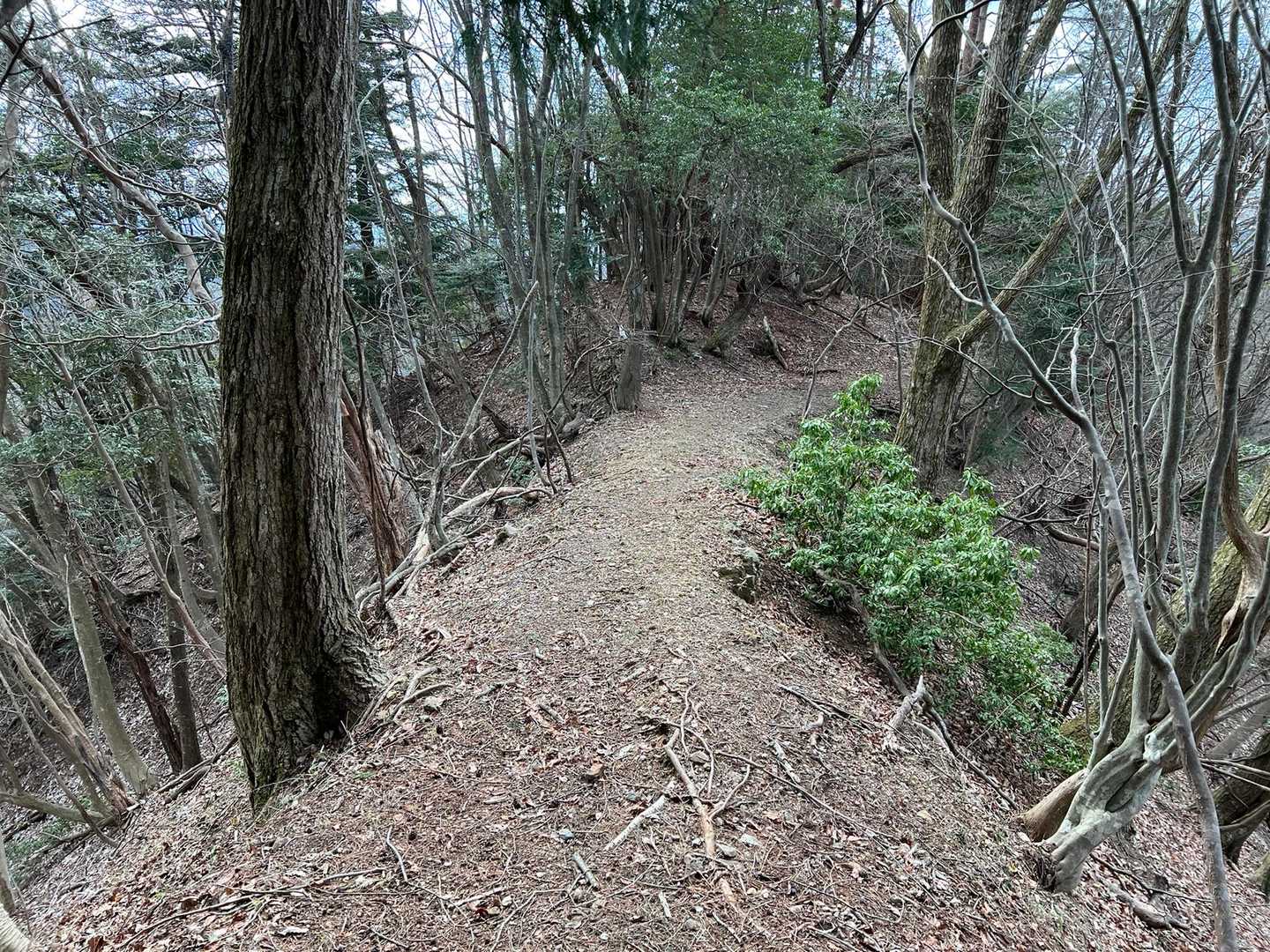 天狗城-松宇土 往復コースの写真