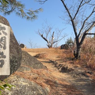 まだ山頂じゃないけど眺望よし