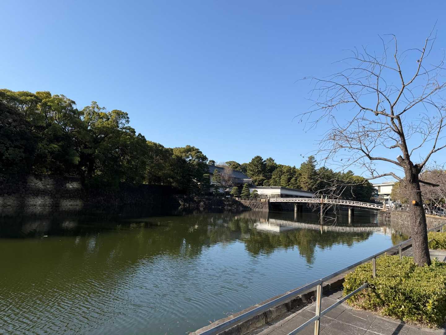 皇居一周コース（桜田門）の写真