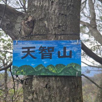 天智山🏔️