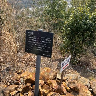 のろしだいあとは…