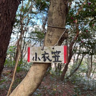 小衣笠、眺望はありません