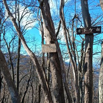 オール広葉樹のまん丸山