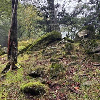 分岐ですね
ここまで来るのに　携帯📱使わず　ルーファイしなければ、と思うた😳