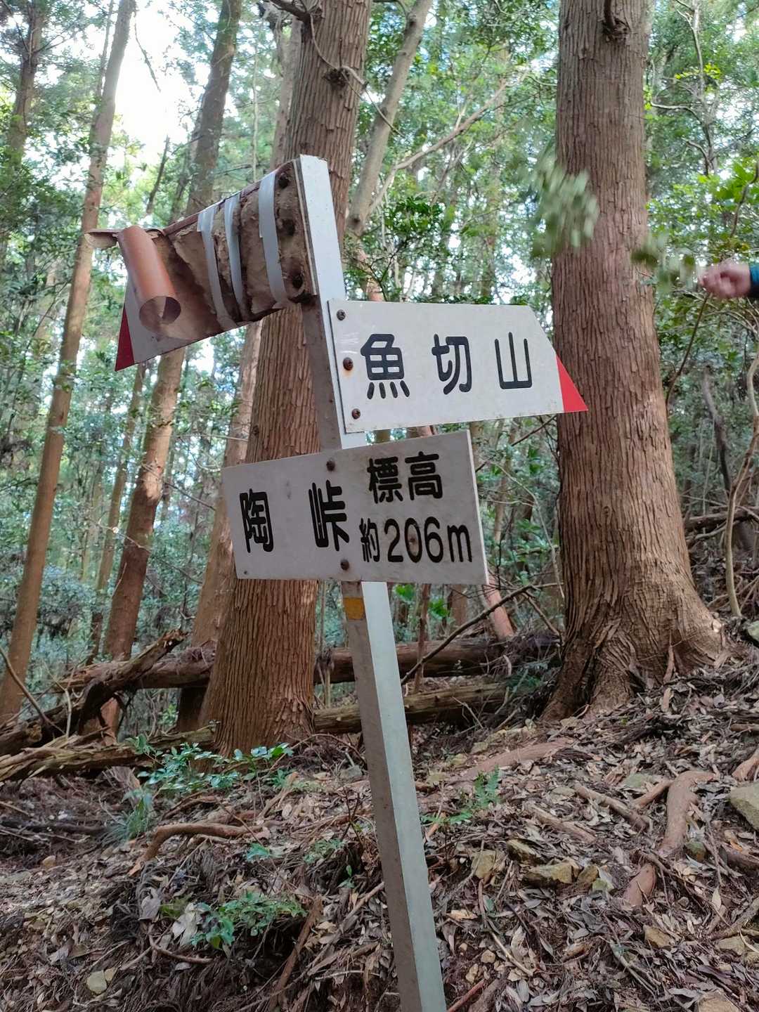 陶峠、右に➡️