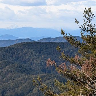 奥に伊吹山見えてます。