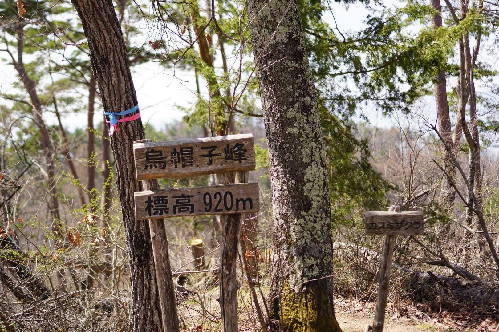 到着です
予想より標高は高くないですね