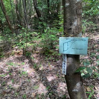 もちろん岩ルート選択します