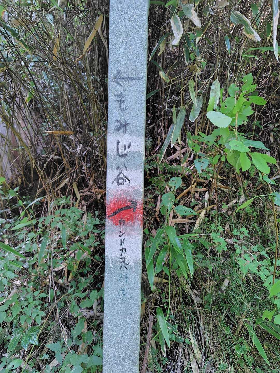 もみじ谷に行こうと行ったんですが(笑)川を渡らず直進タイムロスです