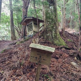 ㉛【摩尼峠】奥の院から『摩尼村』への近道だったそう。