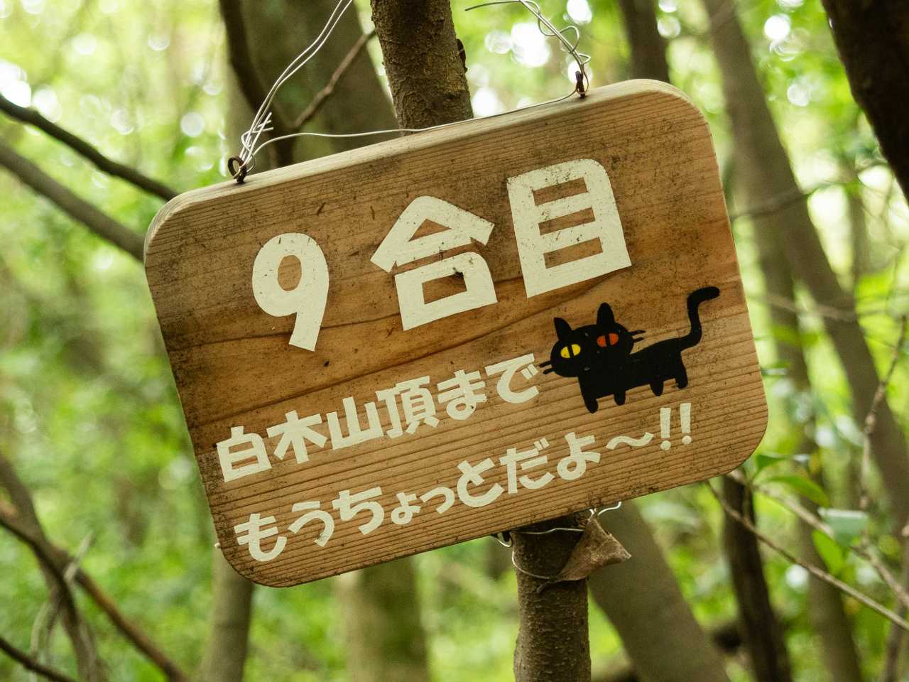 可愛い黒猫看板だ。