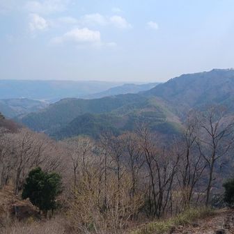 天道塚頂上からの眺望
