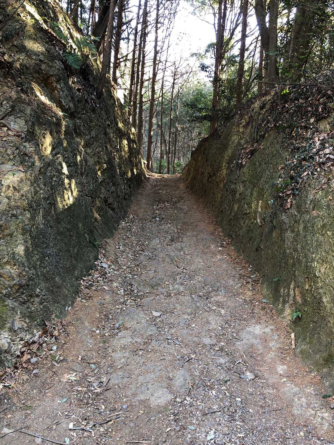 小瀬名富士-小瀬名富士登山口 往復コースの写真