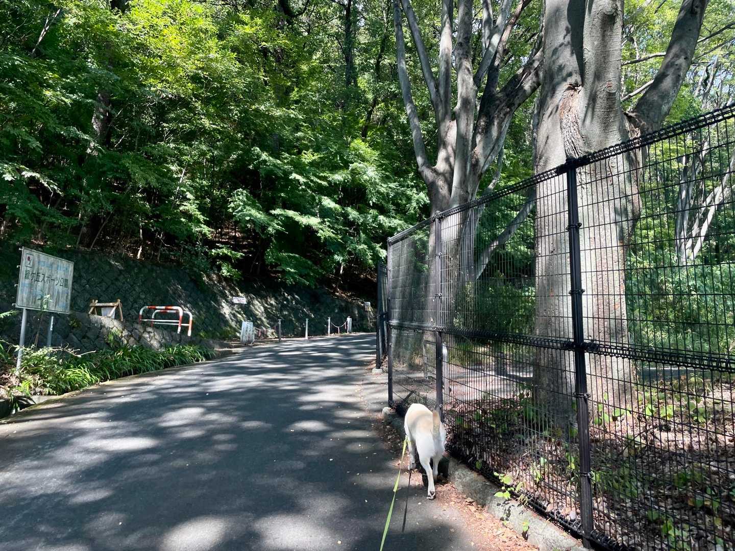 『緑が丘スポーツ公園』の🅿️から