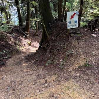 左は清瀧バス停に行く道