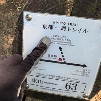 ここへ行くよ〜
