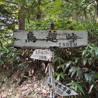 もう一つ先の大判山目指します〜一回下って鳥越峠〜
