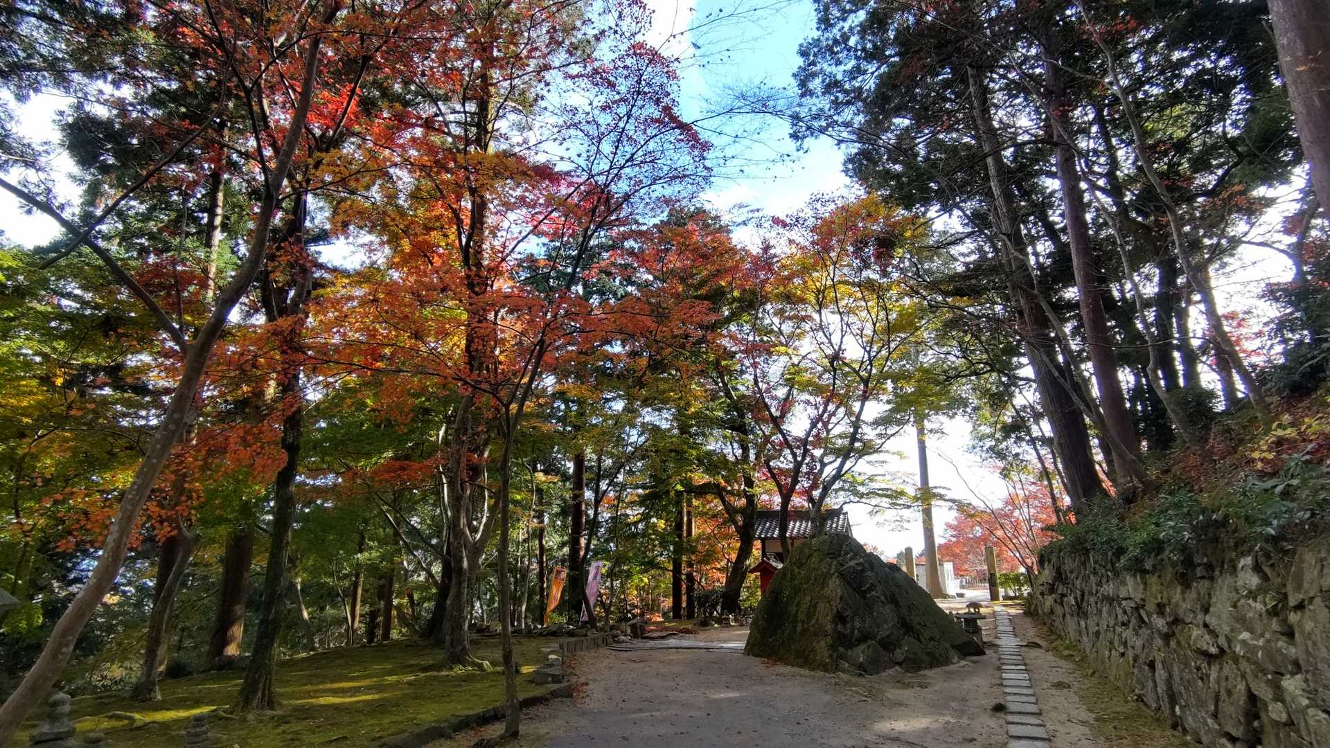 阿賀神社-太郎坊山-みつくり君休憩所-箕作山-瓦屋禅寺 往復コースの写真