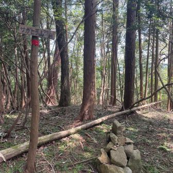 石が積んであったので、看板と一緒にパシャリ