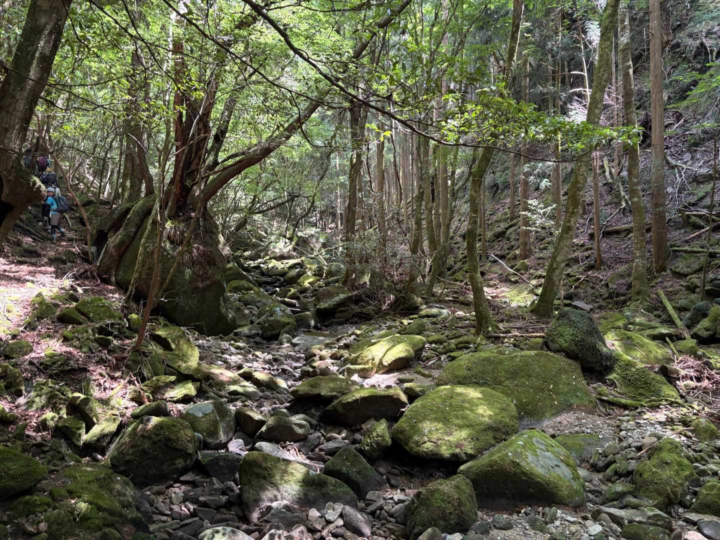 百間山 周回コースの写真