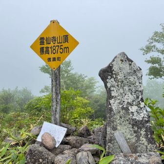 4回目の霊仙寺山（1,875m）登頂🙌

2024年8月以来でした