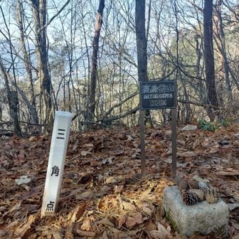 眺望のない山頂