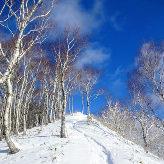 青空のウイニングロード💙