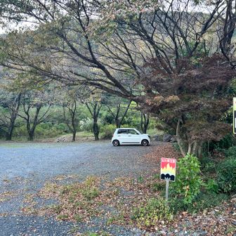 ゴ〜ル🏁

道中、二頭の鹿と得体の知れない大きさの二羽の鳥が目の前を横切り大ビビり。
熊じゃないだけ良かったけど。

やっぱり山は怖いな🐻🩸🪰🐍
おかげでここ数年、知らない山へ行く気がすっかり失せています。

熊のいない、九州に引っ越そうかな🚚