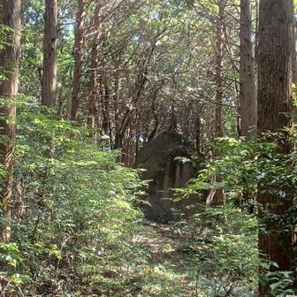夫婦岩（女）・・・なぜかこの二つの岩はある距離感が～(笑)