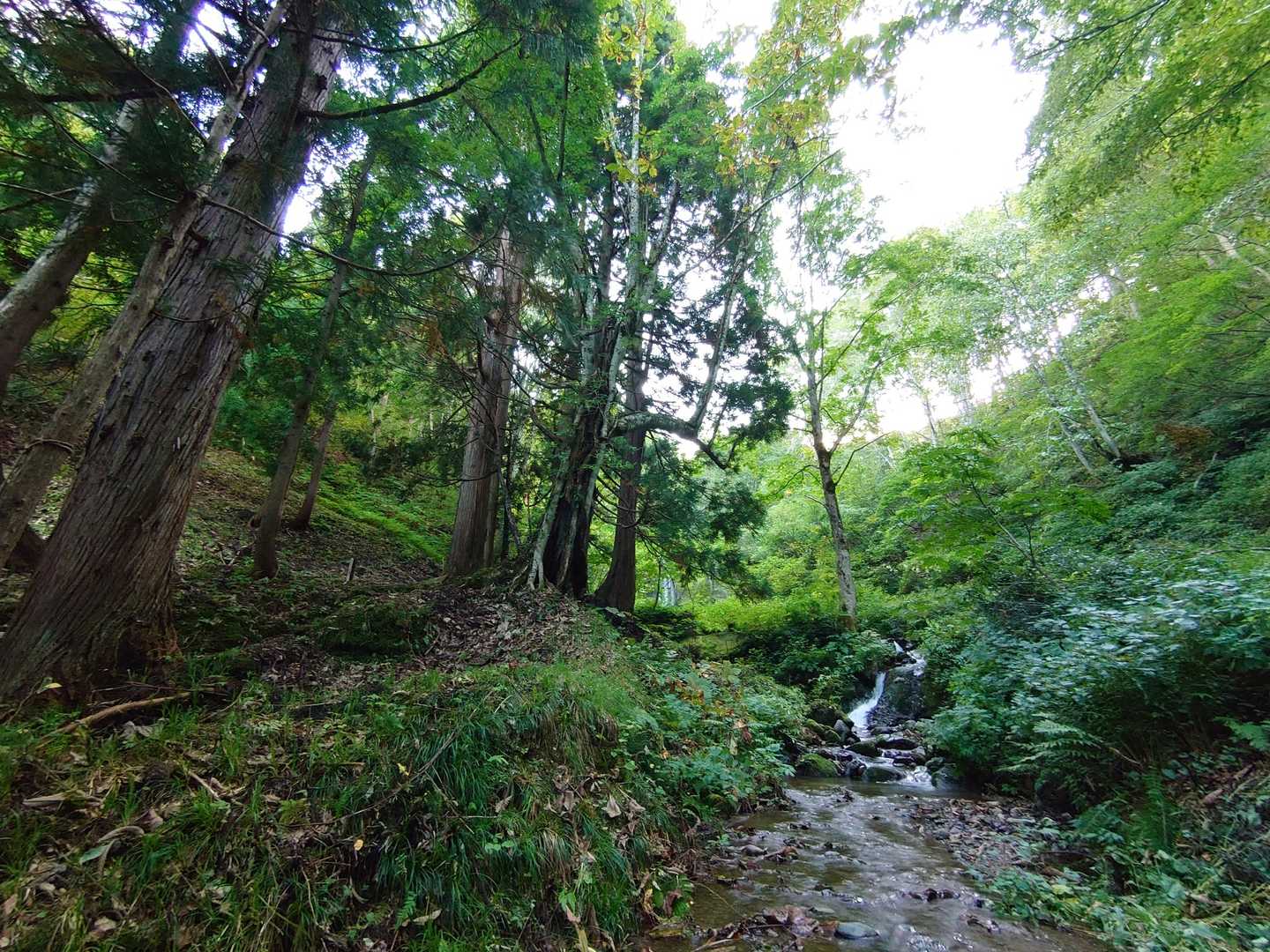 やっと登り口まで下山
ありがとうございましたm(__)m