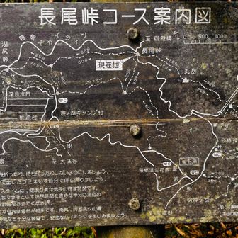 長尾峠コース 案内図