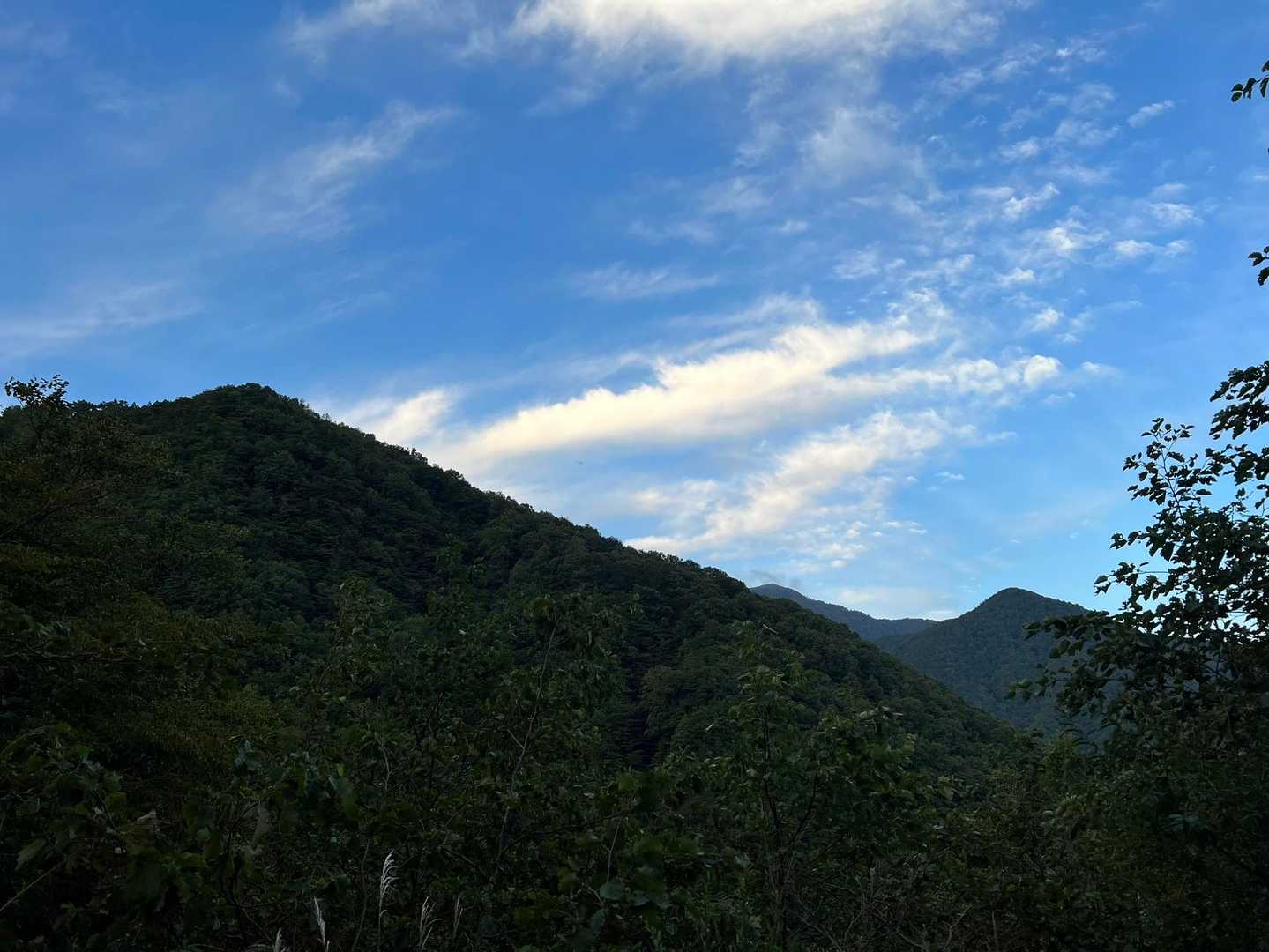良い天気！