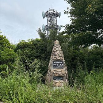 旧最高峰。