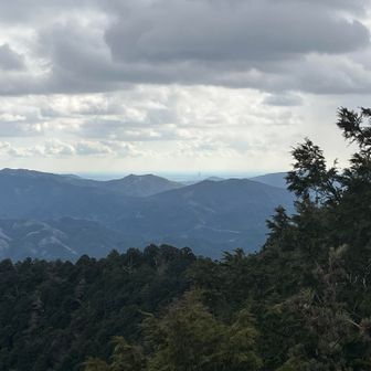 遠くに高いビルみえる🏙️