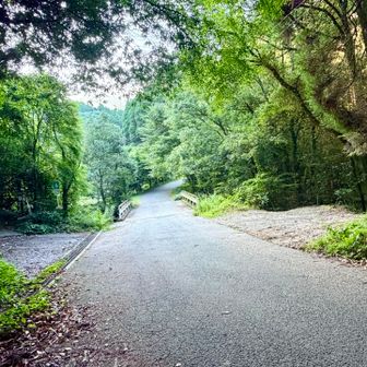 舗装路をしばらく歩くと
右手に駐車スペース3台くらい？
左手が登山口への入り口