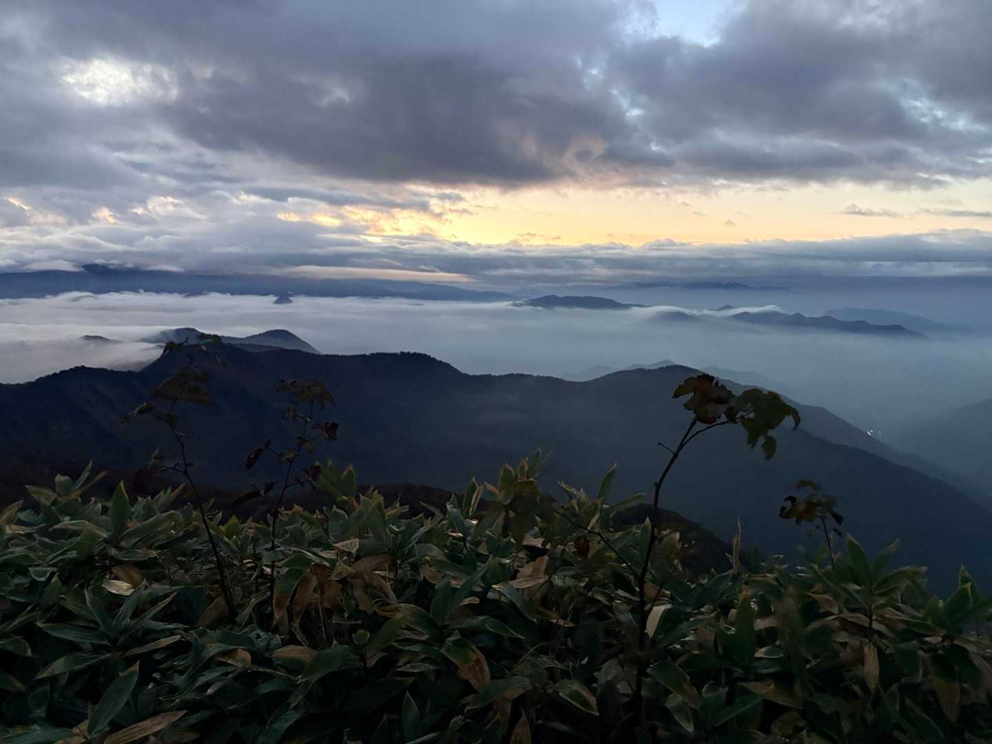 白毛門登山口-松ノ木沢ノ頭-白毛門-笠ヶ岳-大烏帽子-朝日 周回コースの写真