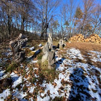 帰りは一部ショートカットして天平の森の施設の方へ
天平の森の駐車場は木の彫り物がたくさん
