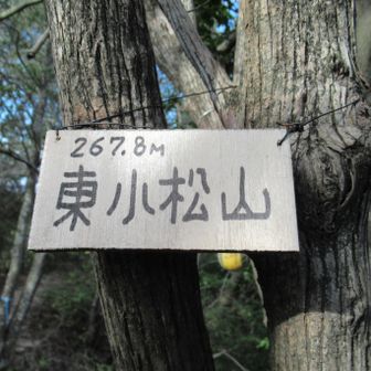 東小松山　268m
ひがしこまつやま