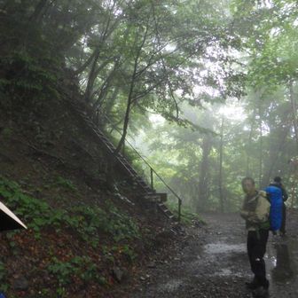 Day5。ほぼ撮るものは無いため、下山直前で少し。
