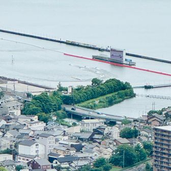 初めて競艇を見ました