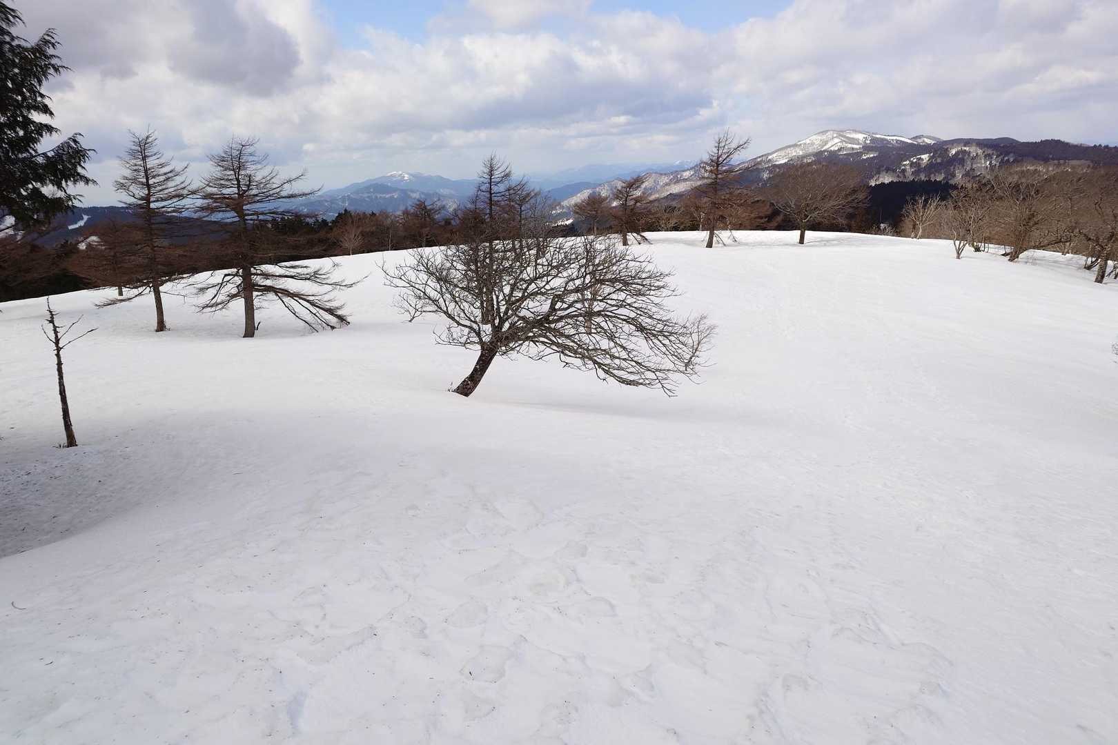 江浪峠-三国平-天児屋山 往復コースの写真