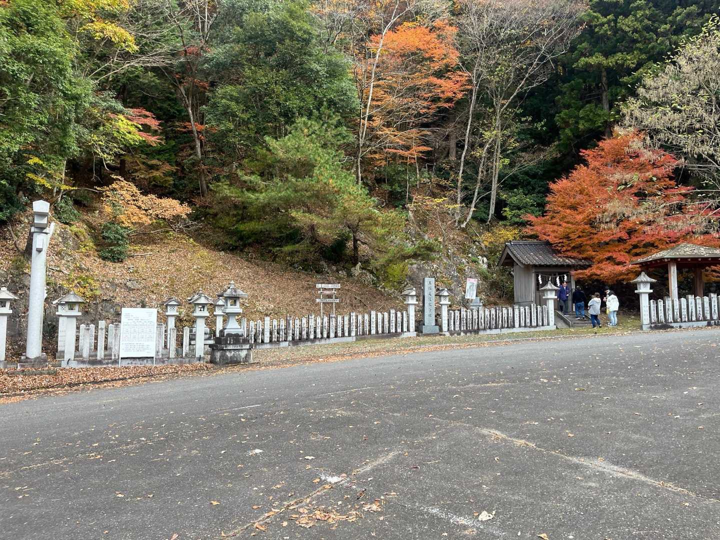 青倉山 往復コースの写真