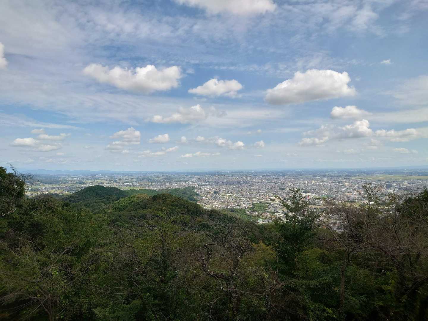 栃木の街並みも^^b