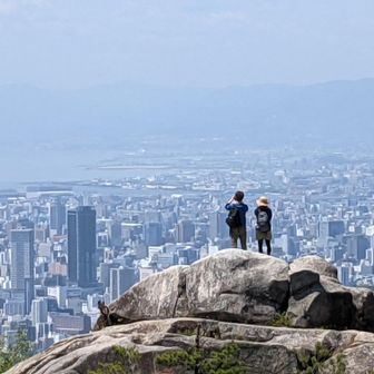 sayaちゃんのパパ