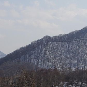 円山、藻岩山、三角山