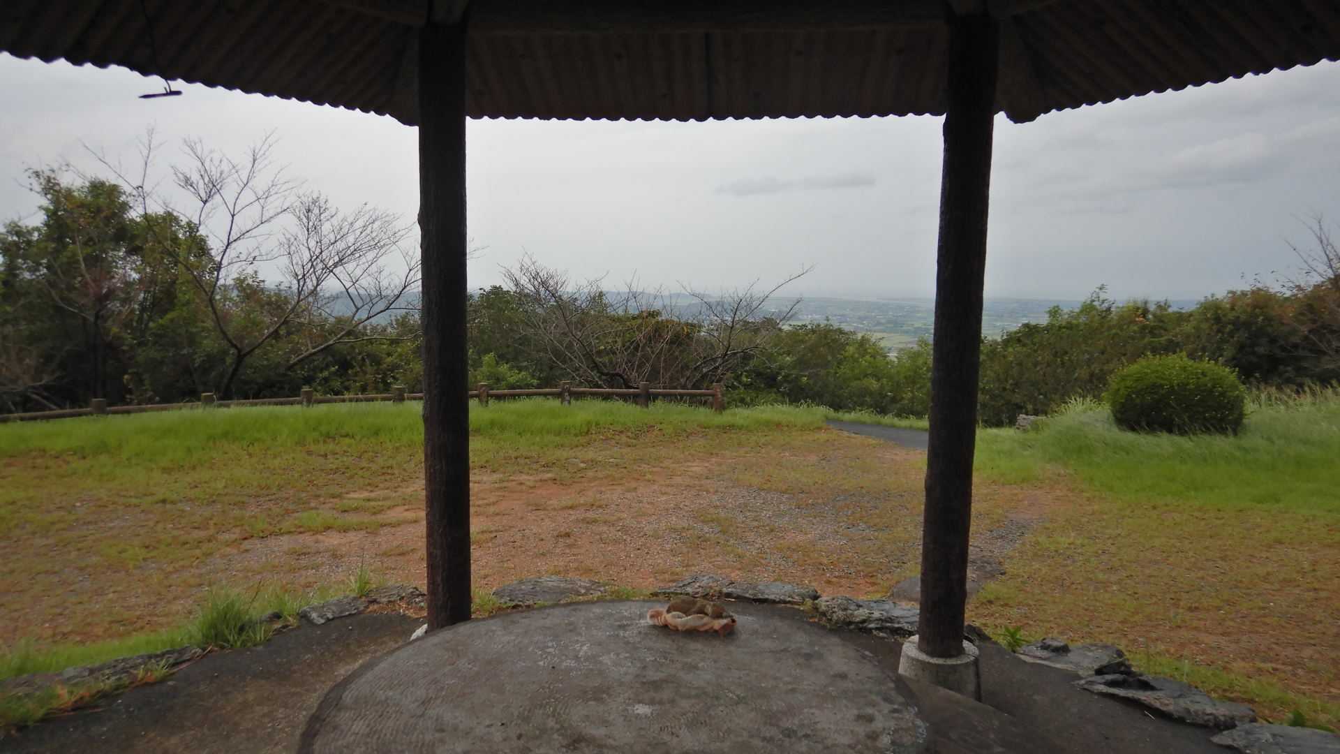 風もそんなに強くない、雨も最初だけで止んだので涼しく歩けました😄