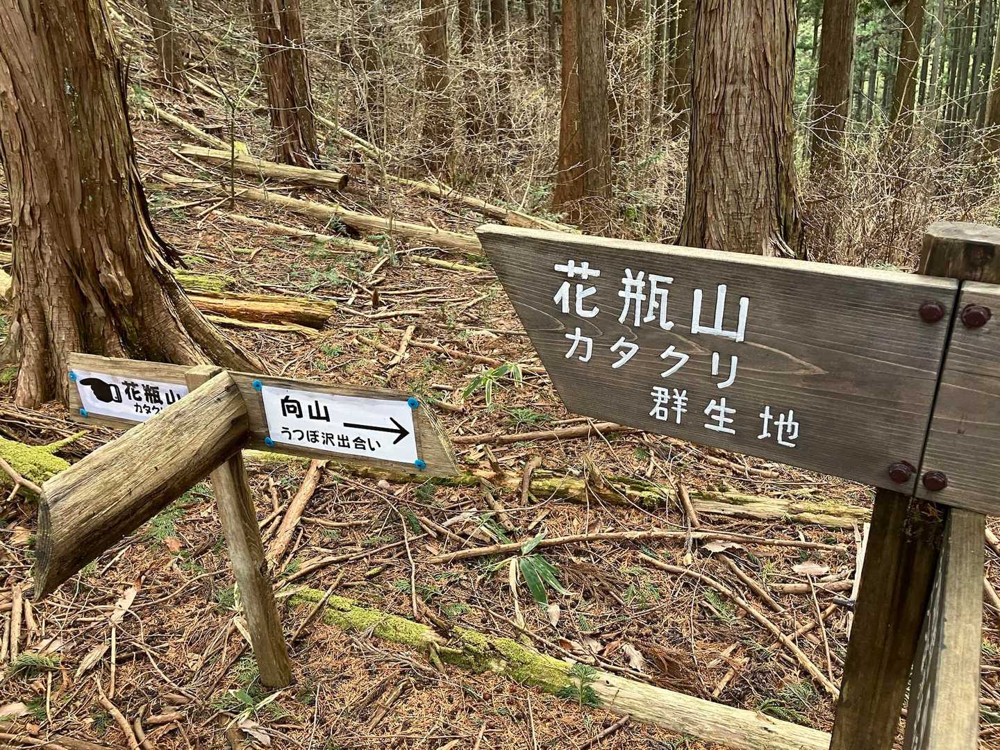 花瓶山へ向かいます♪
