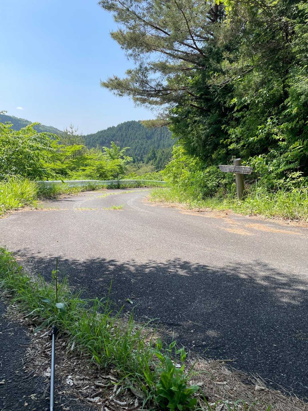 途中からロード歩き、車で上がってくればよかった😥