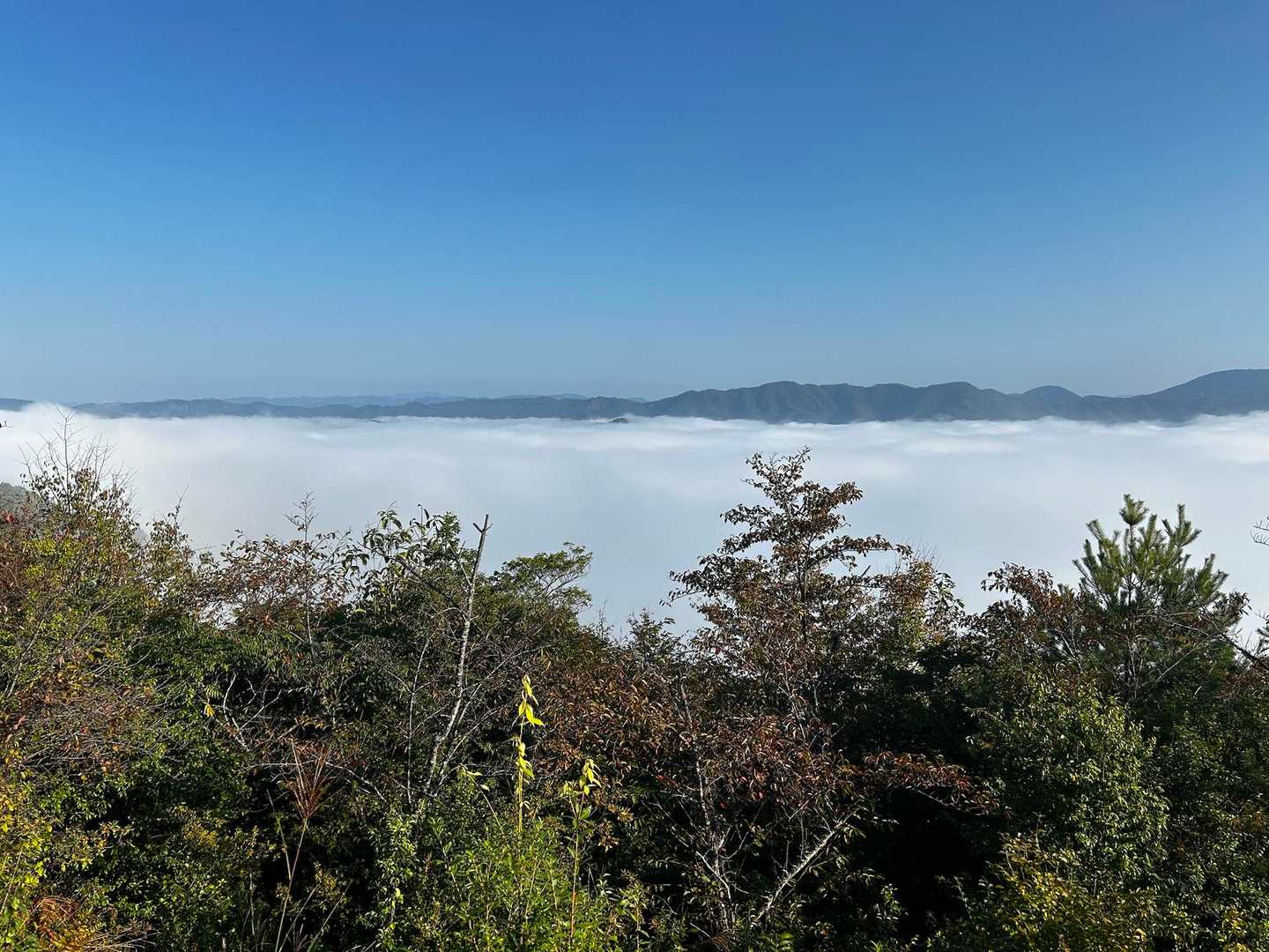 城山 往復コースの写真