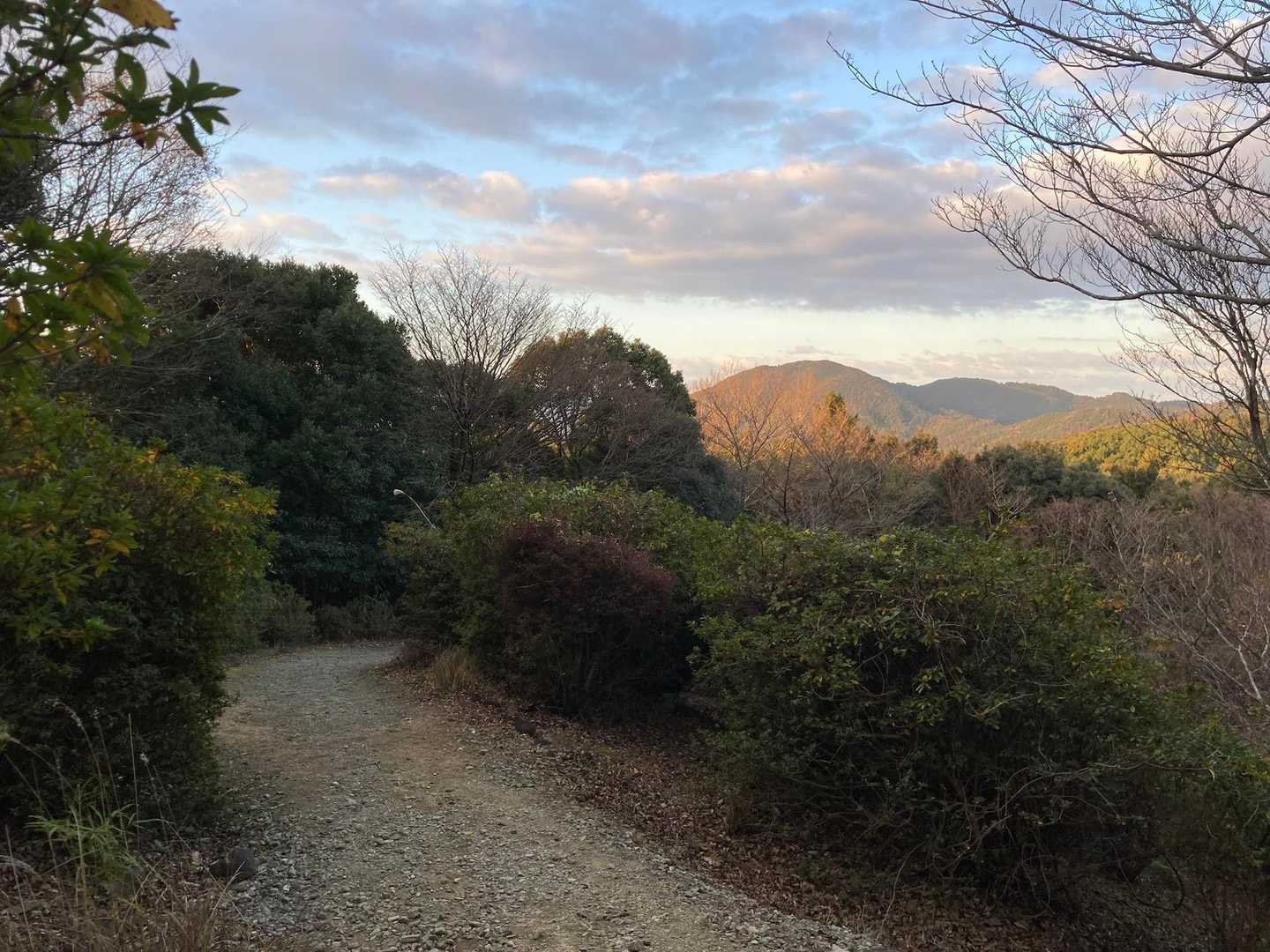 国束山に縦走する道。国束山も朝日に照らされている。